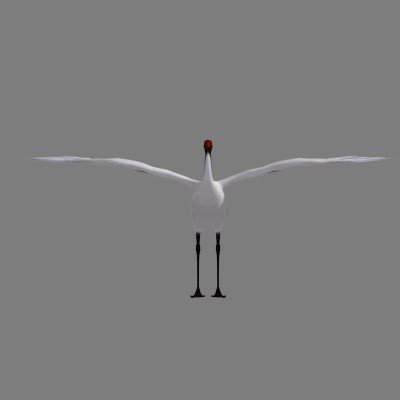 obj crane flight - Crane by Bird Studio
